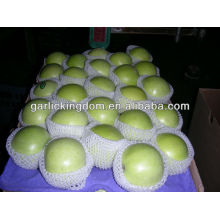 sell 2013 green gala apple